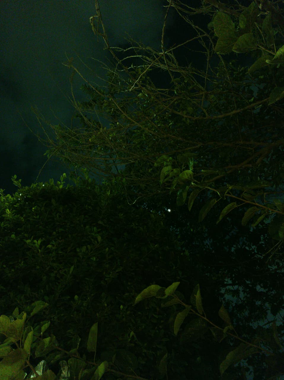 Sky2